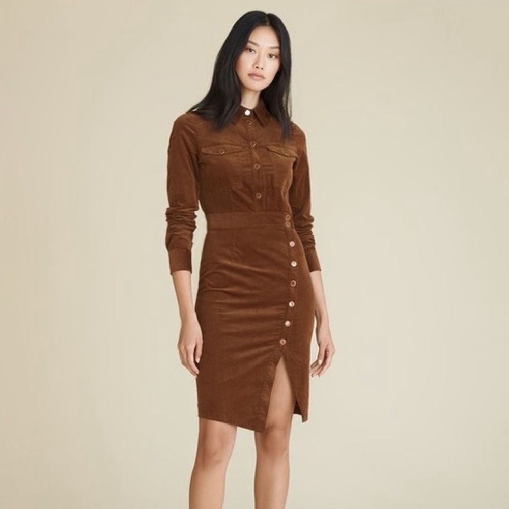 Brown Button-Down Dress